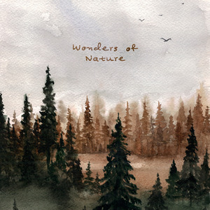 三个人猛躁我一晚上Np
